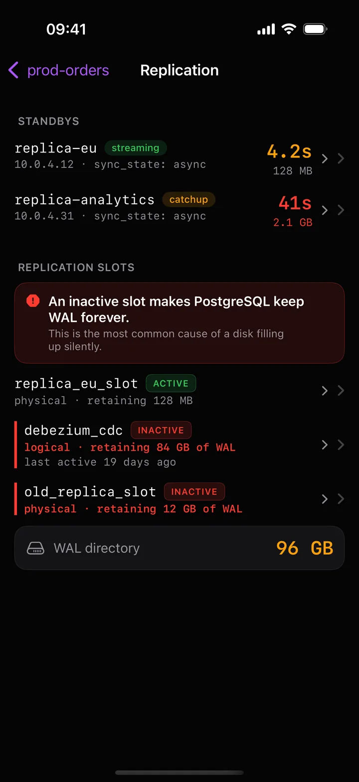 Replication screen: two standbys with replay lag and a warning that an inactive slot makes PostgreSQL keep WAL forever