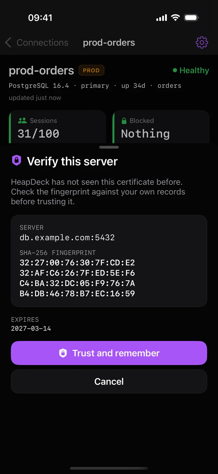 Verify this server sheet on first connect: the server's SHA-256 certificate fingerprint, to compare with your records before trusting it
